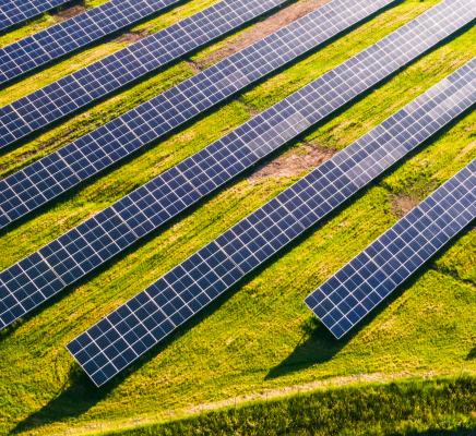 Renewable energy nz